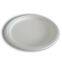 JUST disposable compostable tableware sugarcane Plate8.6''