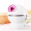 Professional manufacture supply Portable electric nano ionic facial mist steamer for face and hair