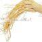 WHOLESALE PANAX GINSENG EXTRACT