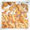 Best selling fresh frozen shiitake mushroom