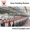Pig Equipment Automatic Feeding System Pig Farm