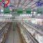 chicken layer equipment for poultry farm