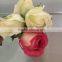 Big distount for fresh cut pink/red/blue/green rose hot selling
