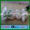 HDPE Plant Supporting net