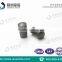 Supply professional Tungsten Carbide Wheel Plate Studs/ Pins