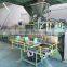 Keestar 3CM-P weighing and filling automatic packing machine