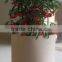 non woven Grow Bag for Plant,Indoor and Outdoor Planter bags