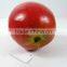 artificial PE apple fruit for decoration