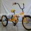 tricycle for adults tricycle bike TRTJ20-7
