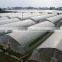 Agricultural film covering vegetable greenhouse