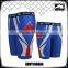 Wholesale Sportswear Mens Compression Pants Fight Shorts