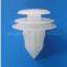 Plastic Auto Clips/auto Plastic Cliips/automotive Fasteners-12