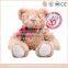 Specific Design Plush Teddy Bear 1.5m Bear Toy