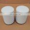 Replacement For FILTREC Pipeline Filter Cartridge A152G03 DEMALONG Supply Filter Cartridge A152G03