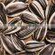 Sunflower Seeds