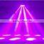 RGBW 8 eye led moving head spider beam lighting 8*10w