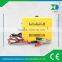 30A Automatic Smart Auto Charger