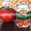 Factory supply health food canned tomato paste,tomato sauce,double concentrated