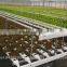 Professional Aquaponics Hydroponics and Aeroponics Systems for Agriculture Farming