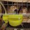 Quail Layer Cage Design ( Whatsapp:86-15932145230)