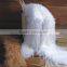 Winter Women Mongolian Lamb Fur Scarves / Sheep Fur Scarf