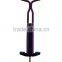 Hot Elegant Purple Pogo Stick