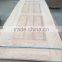 natural Sapele veneer/ASH/Teak HDF door skin
