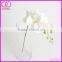 wholesale real touch artificial orchid flowers