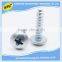 manufacturer nonstandard high quality metal phillips screw