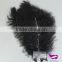 White and Black Ostrich Feather Fancy Dress Party Dressed up Headwear