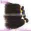 Malaysian afro kinky curly virgin hair hot sells malaysian high quality malaysian curly hair