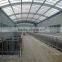 Low Cost High Strength Upvc Plastic Translucent Corrugated Roof Tile