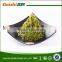 frozen seasoned seaweed salad sushi product