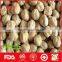 Wholesale Chickpea with great quality and best price