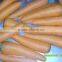 Fresh Carrot crops 2015 very suitable price for exporting