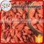 More and more popular goji berries dried with high quality