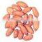 EXPORTER OF INDIAN BOLD PEANUT KERNEL 50/60