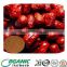 Manufacture Supply Organic high quality sweet chinese organic red dates/ dried jujube dates/chinese dried red dates