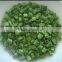FD vegetables of spring/green onion