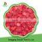 100% natural China fresh frozen strwaberry 2016