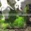 Barley fodder system machine for cattle/hydroponic barley rooms