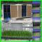 Lowest price soybean and mung bean sprouter with best service