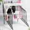 Hangzhou Office Supplier 8 Slot Metal Wire CD DVD Magazine File Display Rack Stand