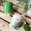 green cactus coffee mug