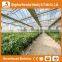 Heracles Trade Assurance multi-span greenhouse used for sale