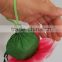 Reusable Tote Shopping Bag Foldable handle bags Recycled flower shoulder bags