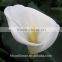 2017 Hotsale Fresh Cut Calla Lily Artificial Calla Lilies Wholesale