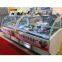 ice cream cake display case showcase (CE)