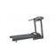 MOTORIZED TREADMILL
