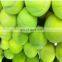 soft tennis ball manufacture high quality personalized custom logo ball